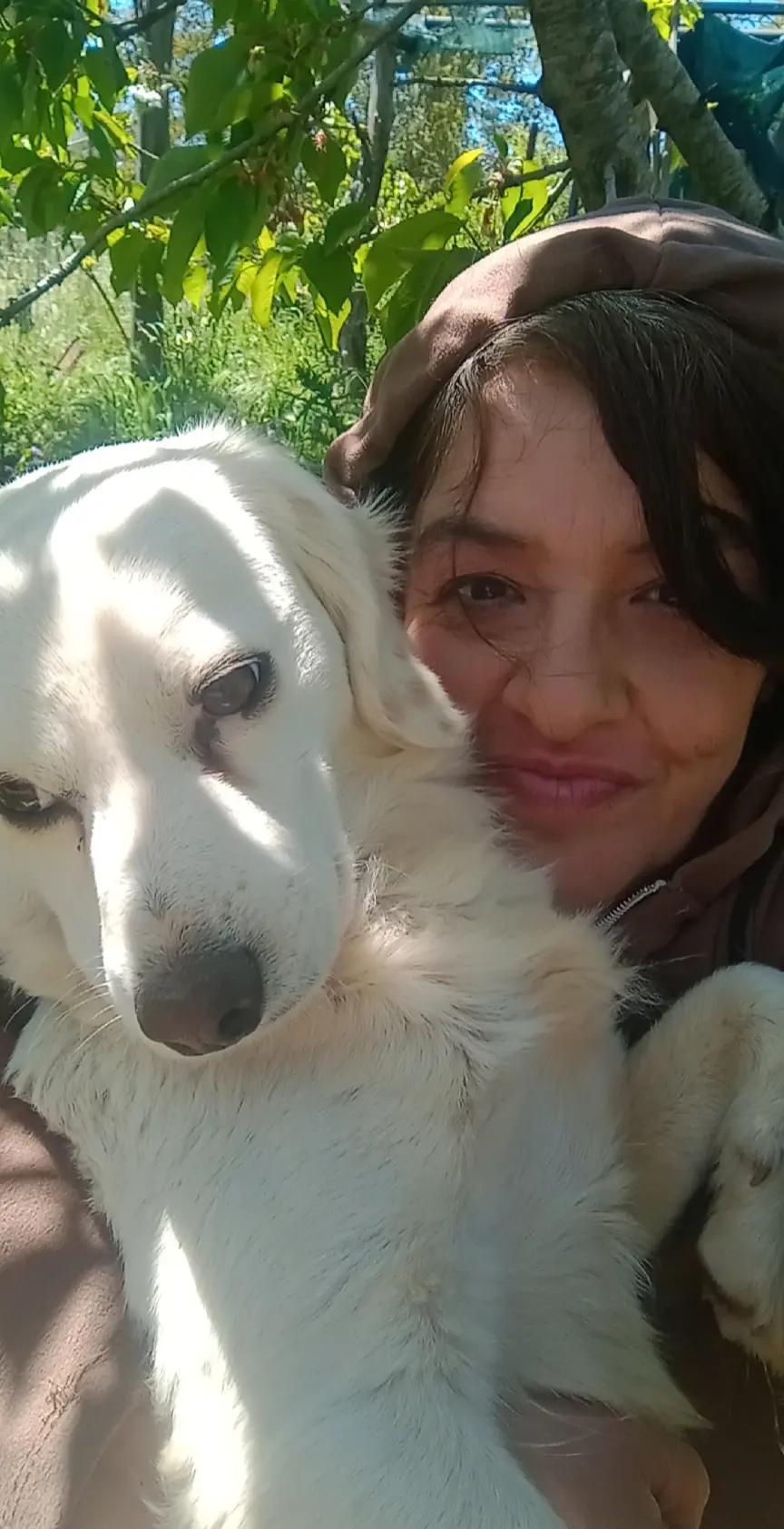 @Amo il lupo tutti gli animali