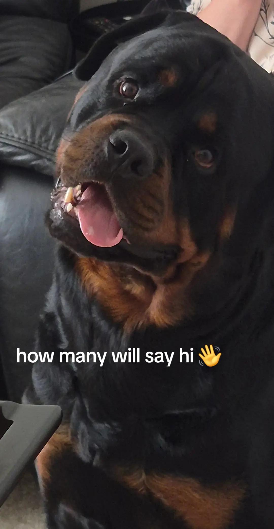 @Reggie the Rott