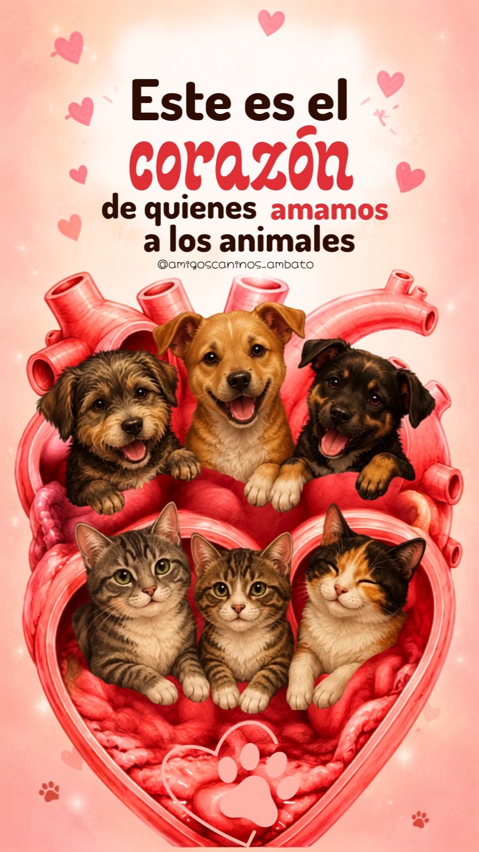 @Amigoscaninos_Ambato