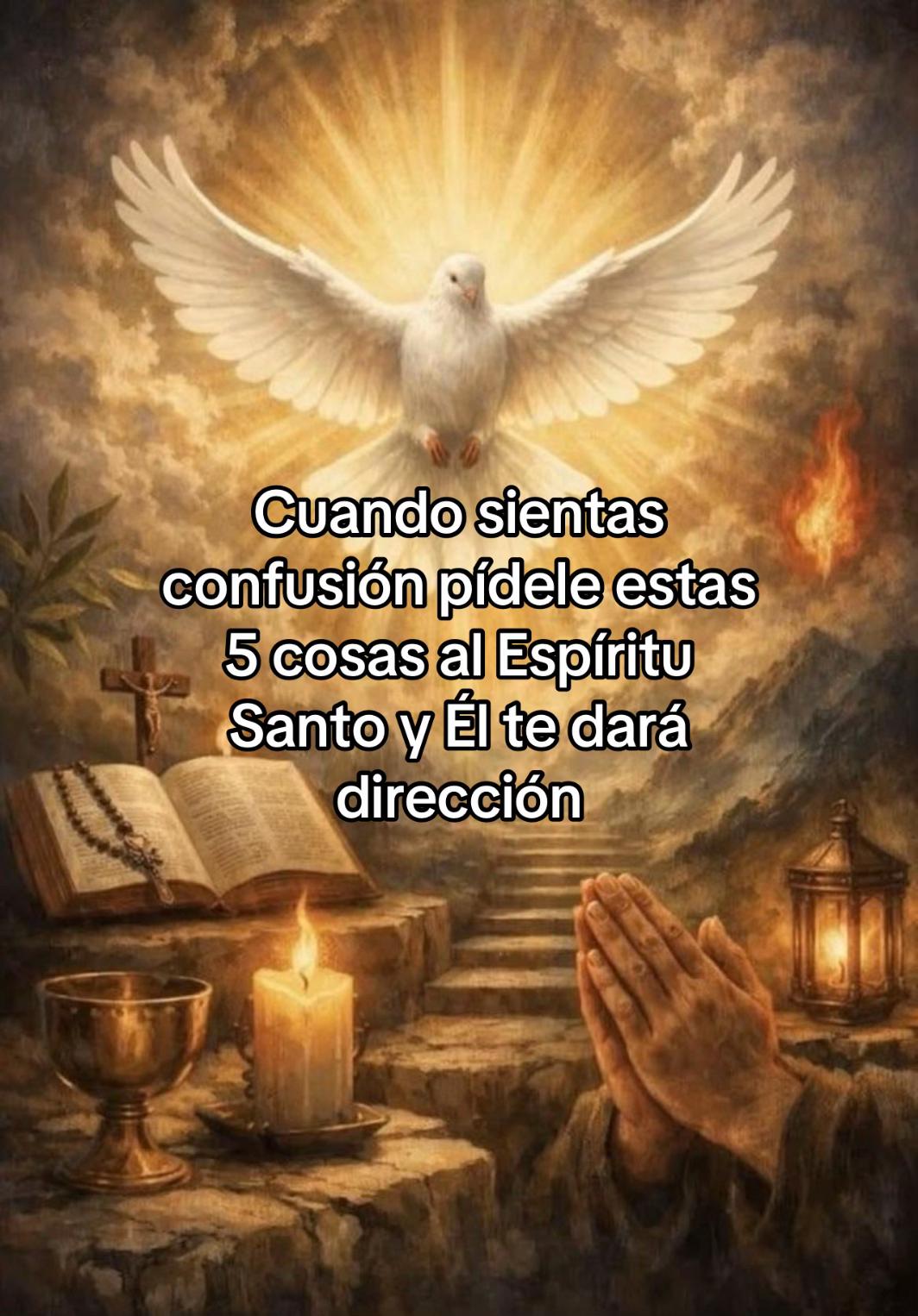 @aminafranciscaebratt