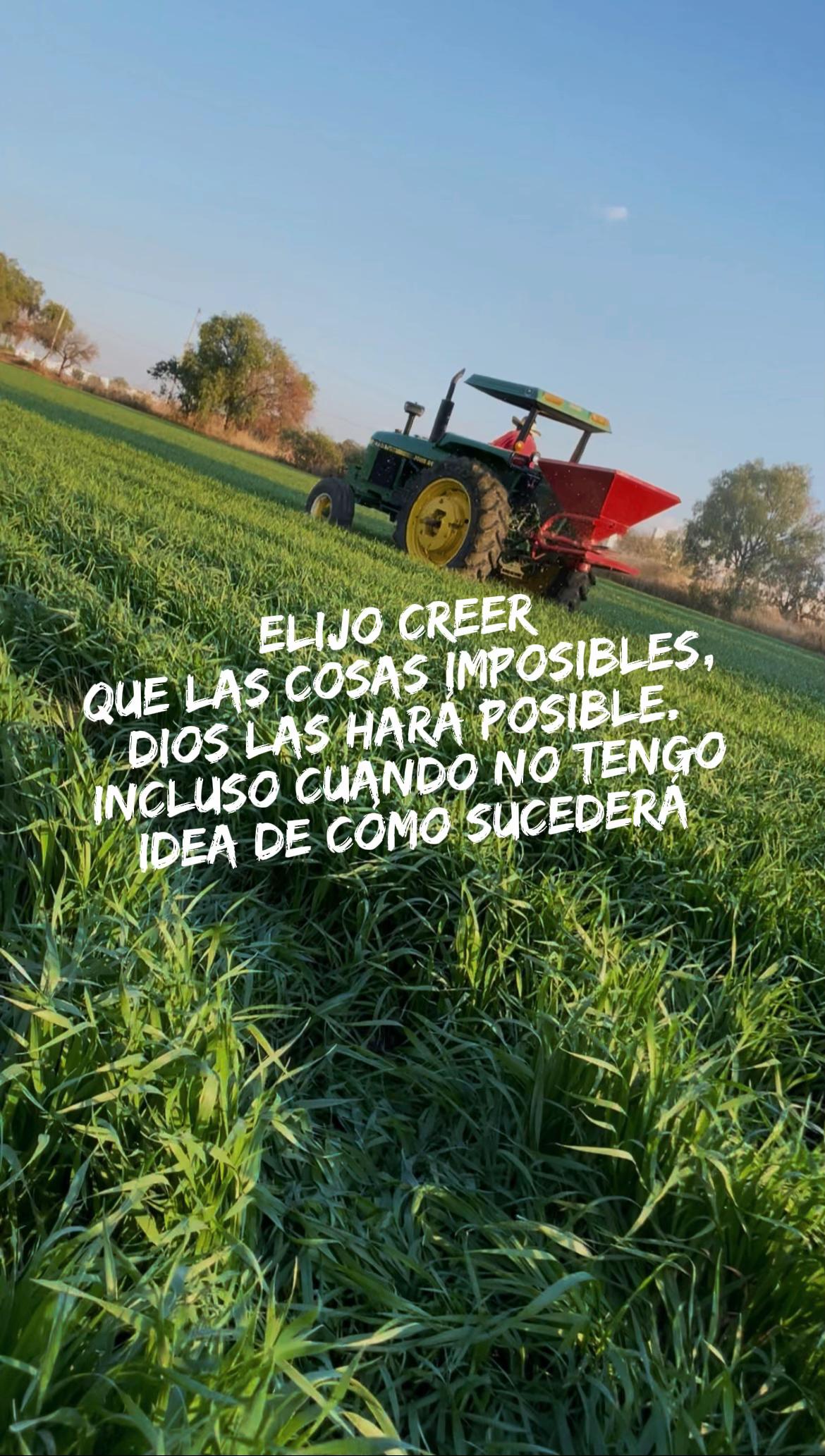 @el_menor_04