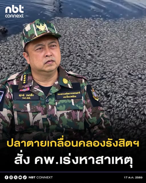 @° หมานิ้ง °
