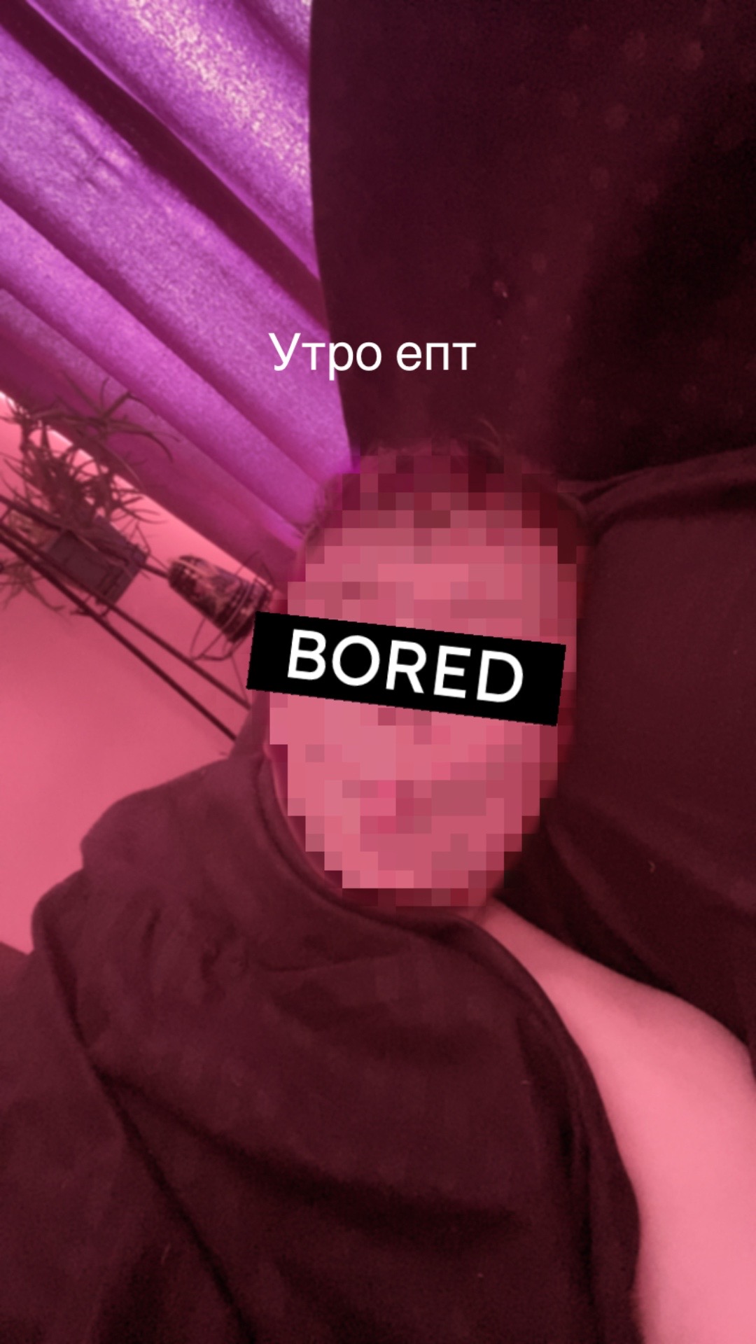 @Hydra | t3ap