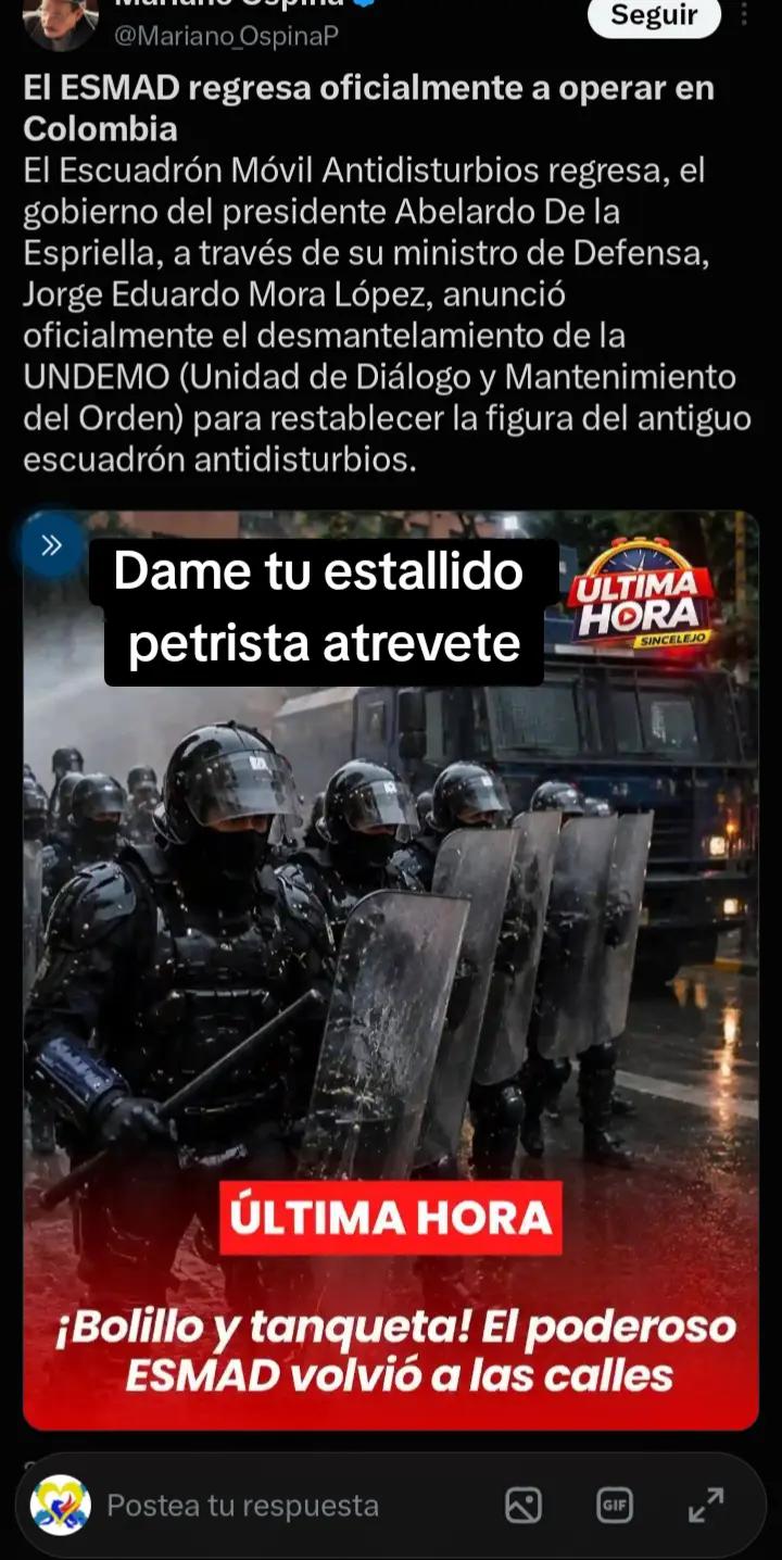 @Noticias zorrito