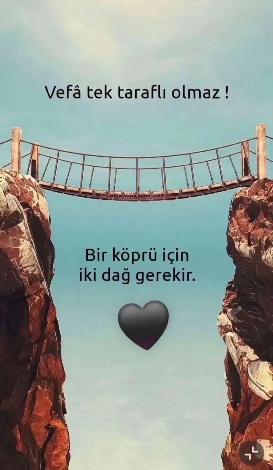 @48 Krall Lionn
