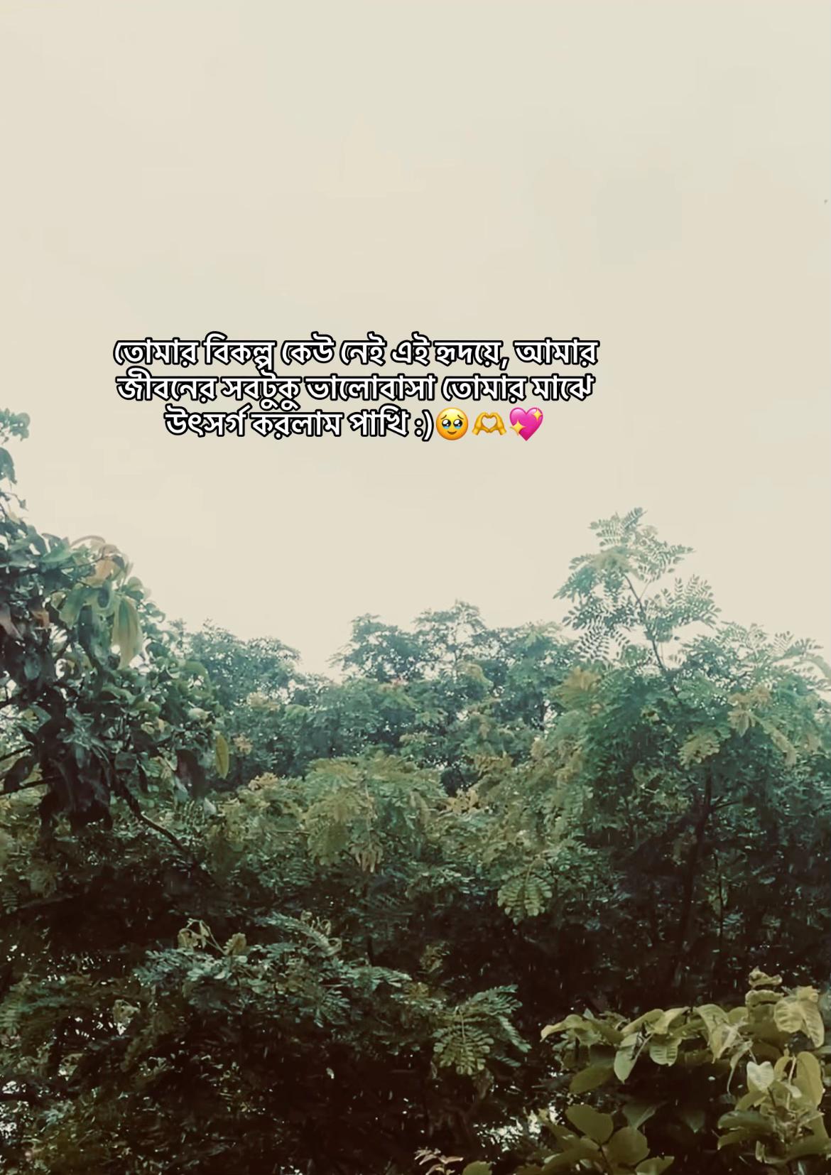 @._𝐌𝐞ꫝ𝐞𝐝𝐢._✨🙋♂️