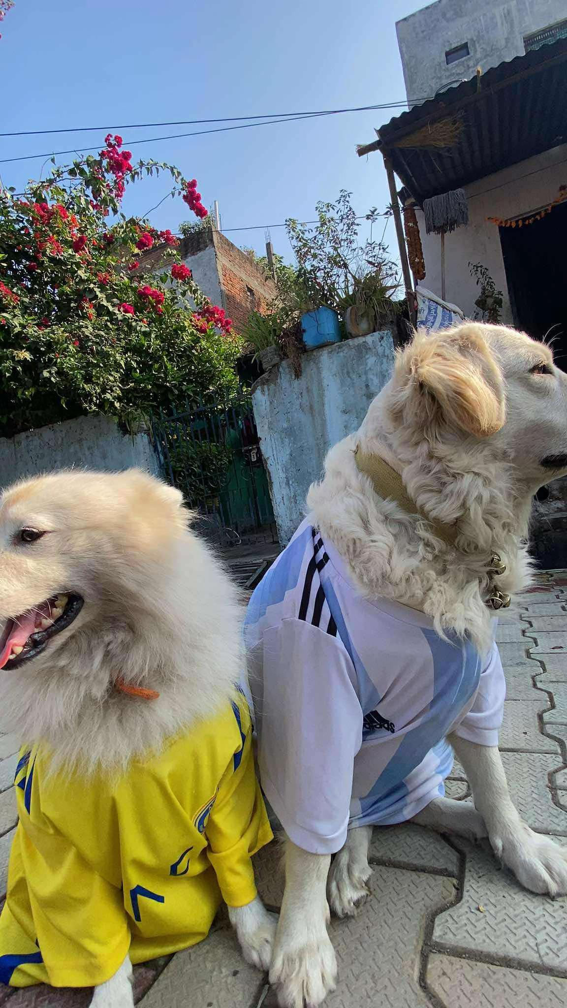 @सितल