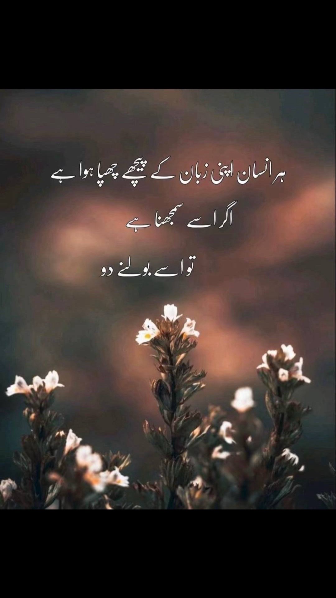@Princess Meena