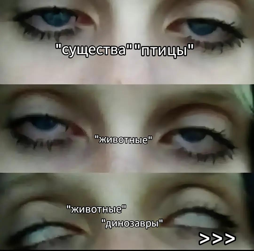 @пипидон🦈