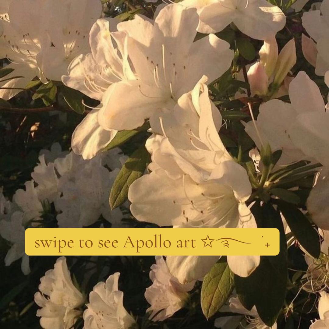 @ihuyu☀️