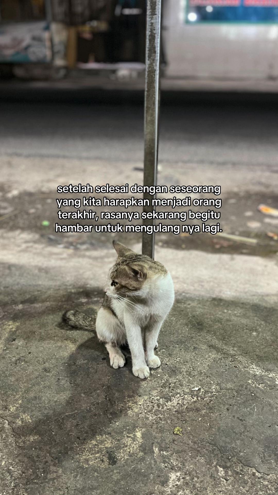 @๐๐๐๐ข๐๐ฃ๐ข