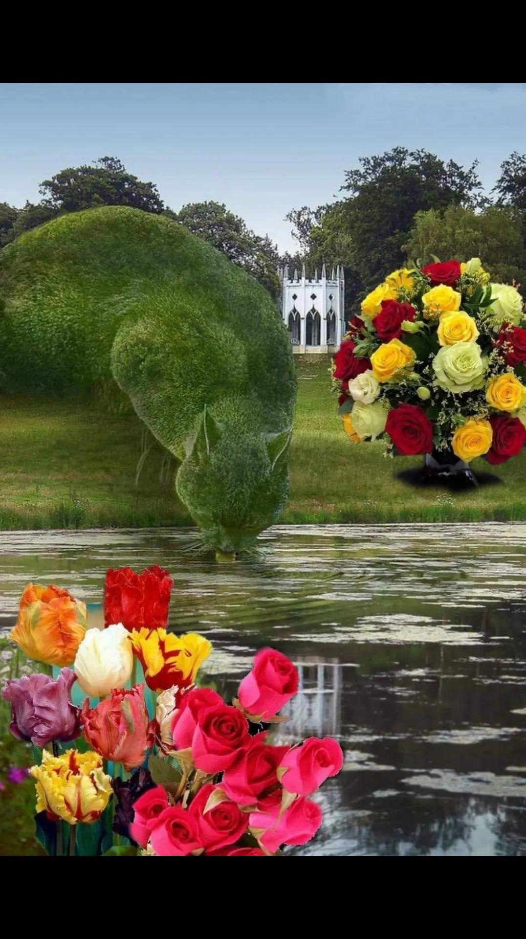 @🫀suno mere hearts owners ma🫀