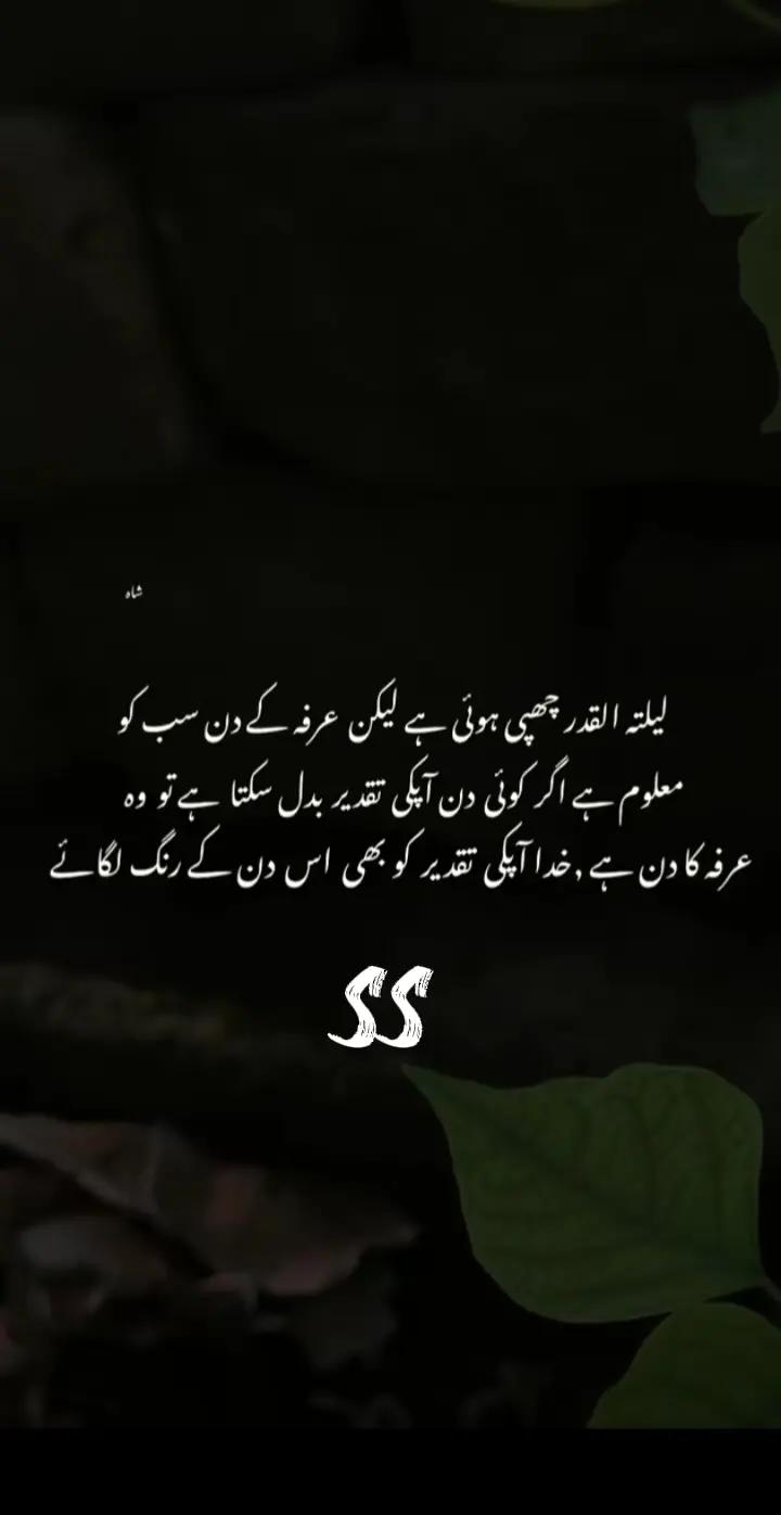 @سکون قلب ❤️