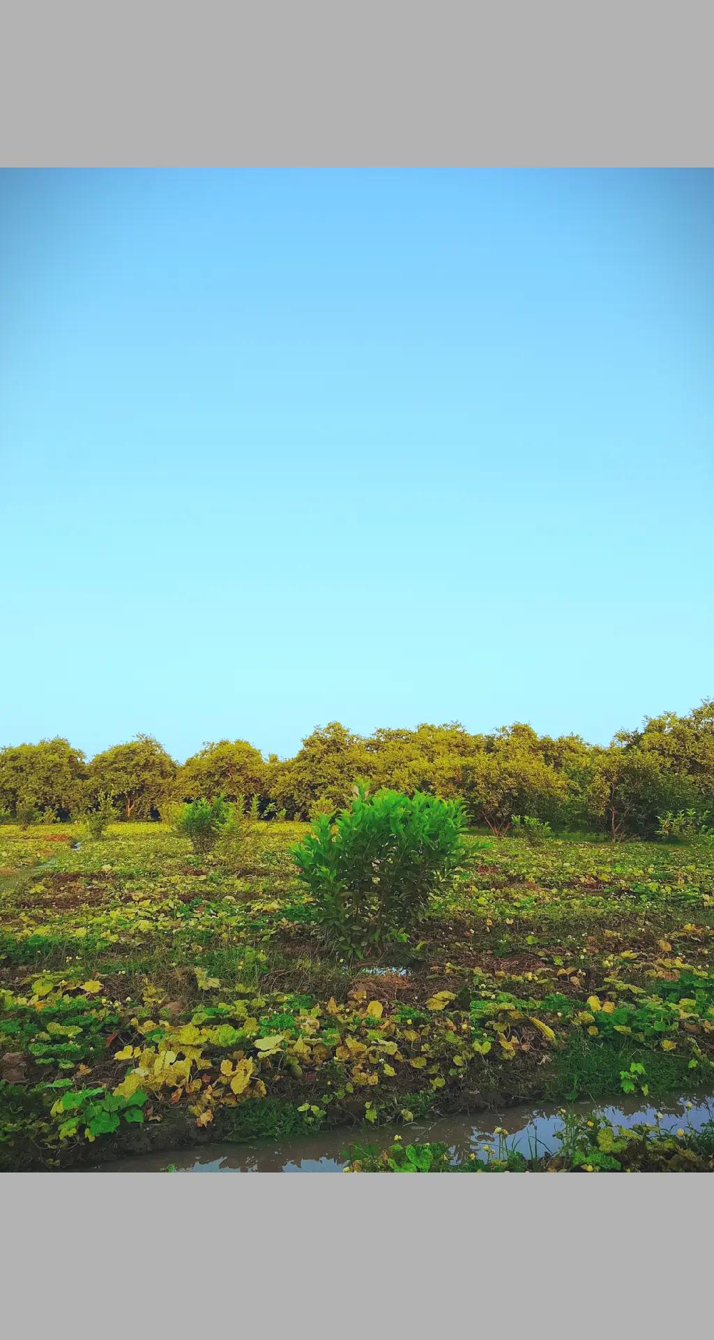 @𝗔𝗵𝘀𝗮𝗻 𝗕𝗵𝘂𝘁𝘁𝗼