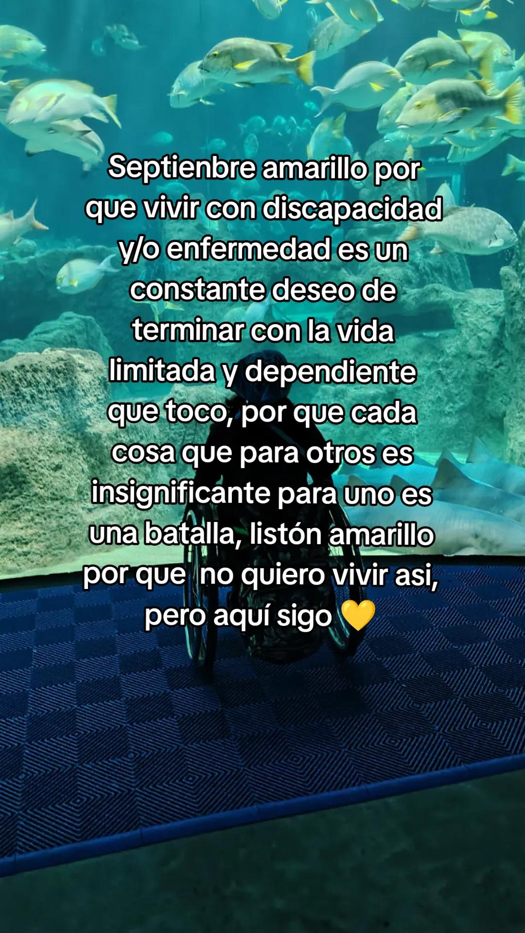 @MarisaC♿💋