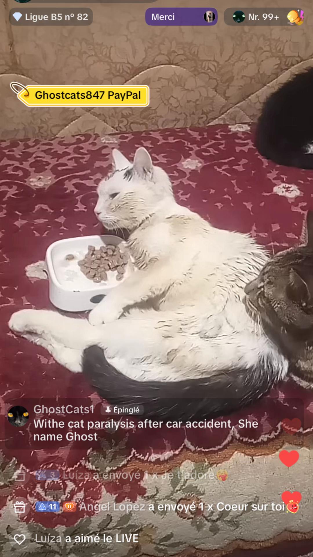@cappuccinogirl00