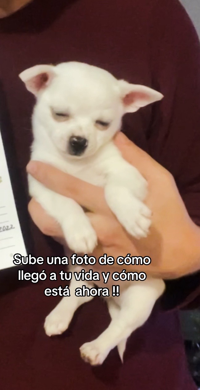 @Edu.urrutiau