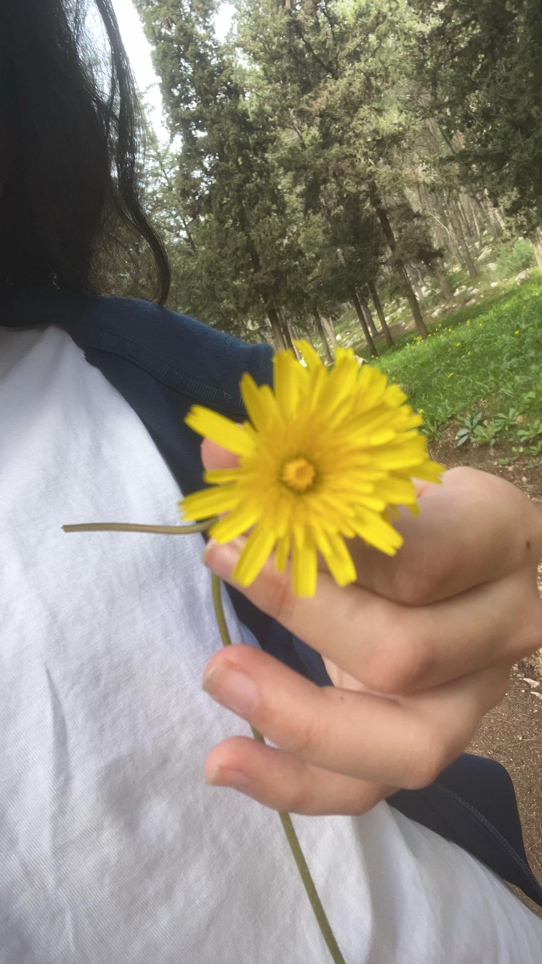 @oriacohen25