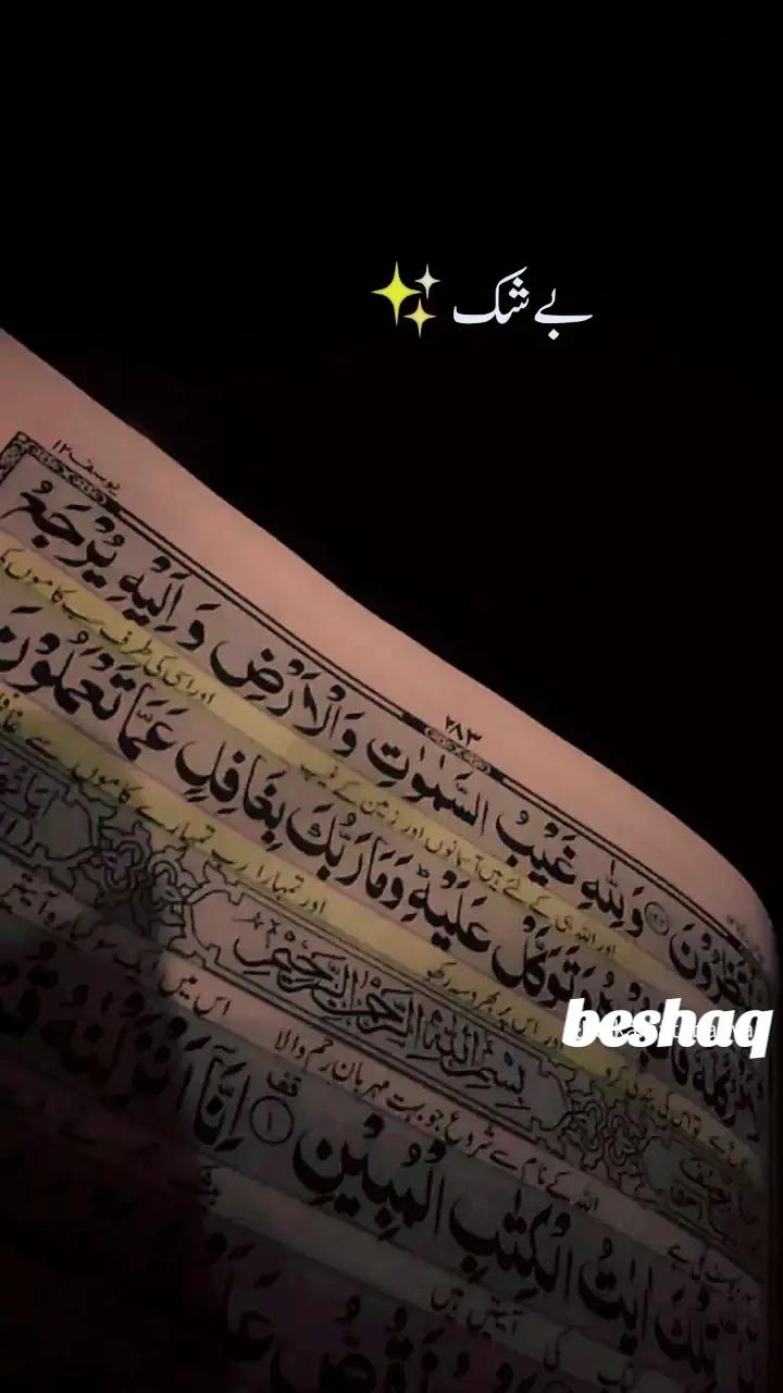@Sheri ch 🦅