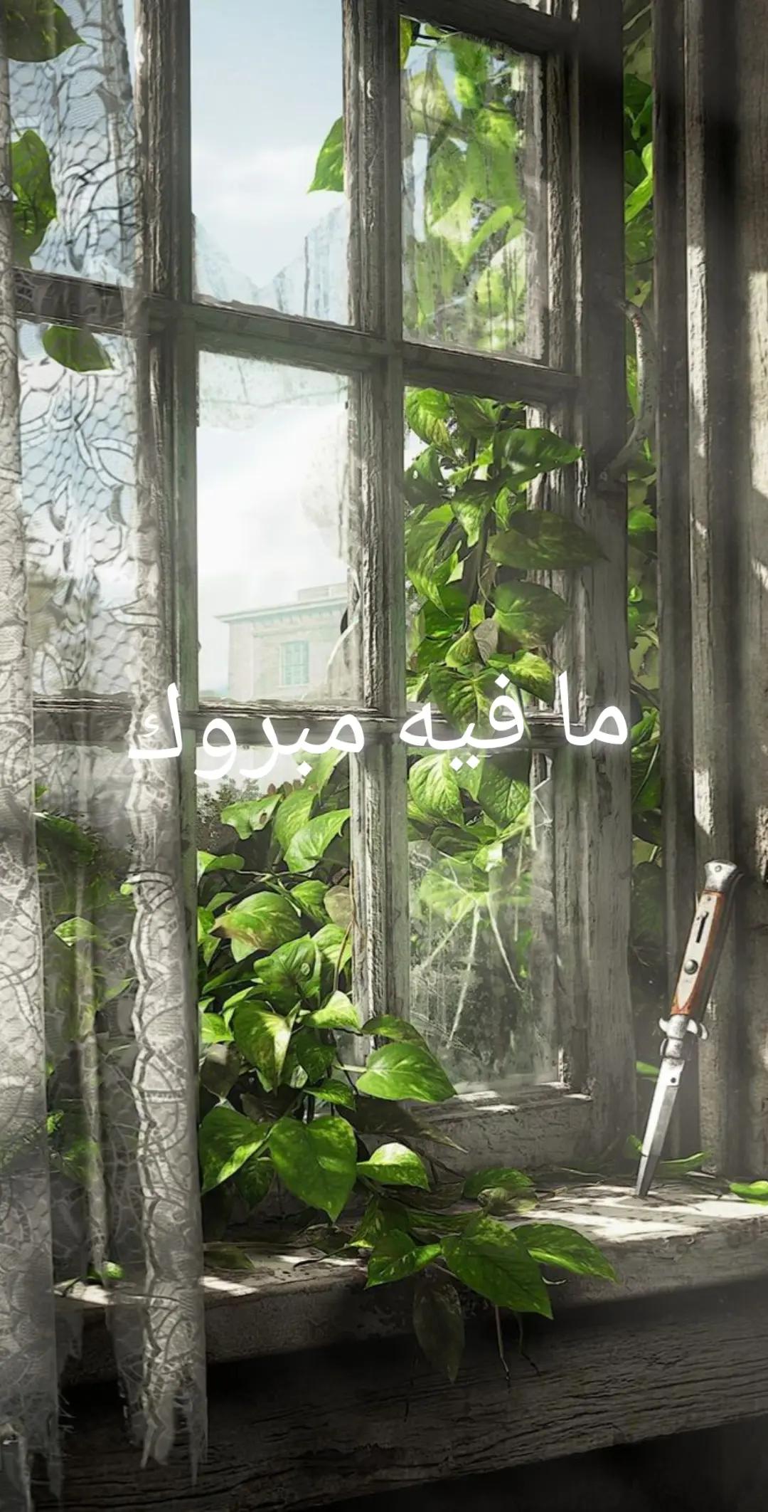 @🇸🇦سلُِطُان🇸🇦