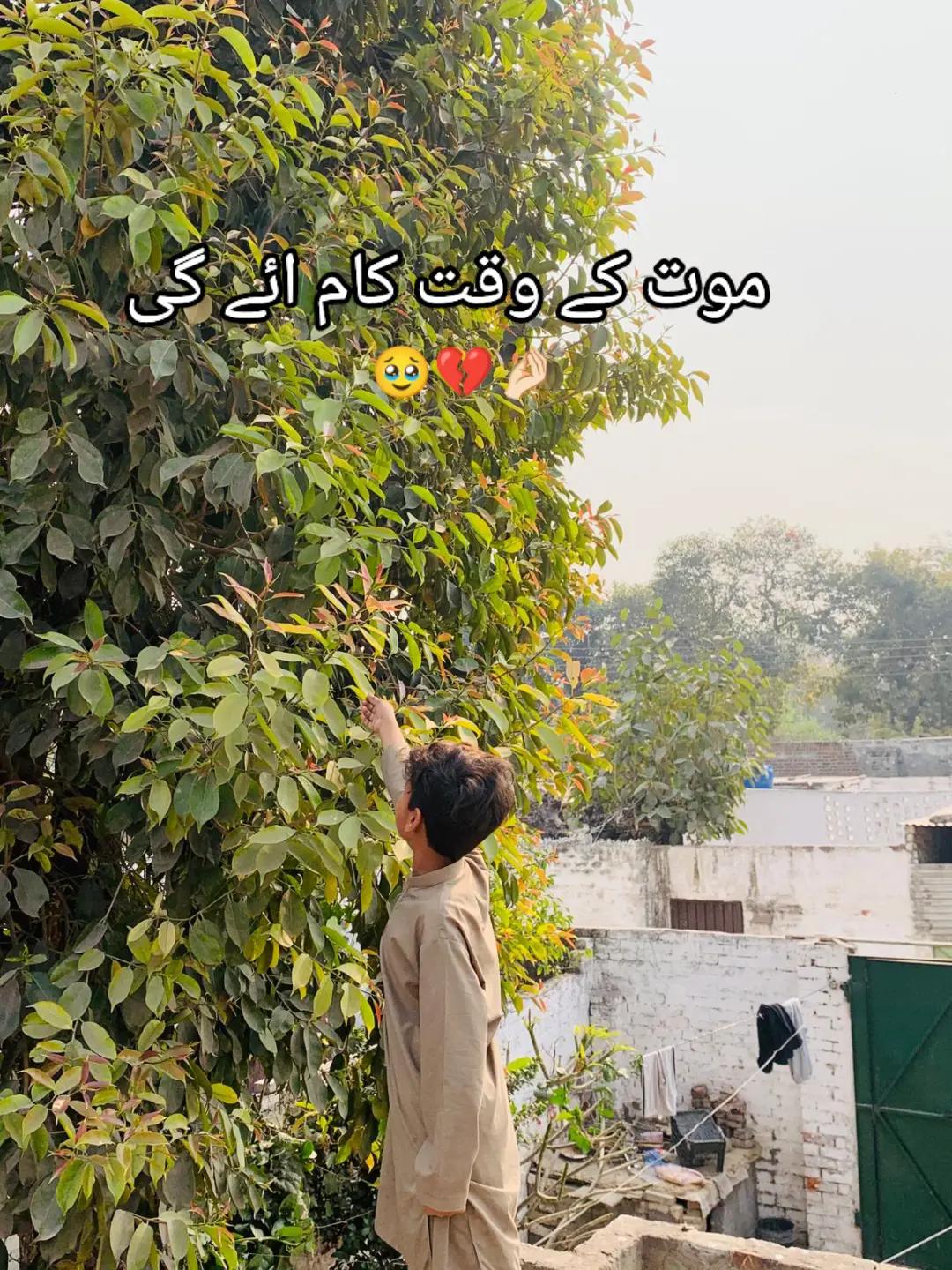 @☠️ارحم کہتے ہیں🙌🏻