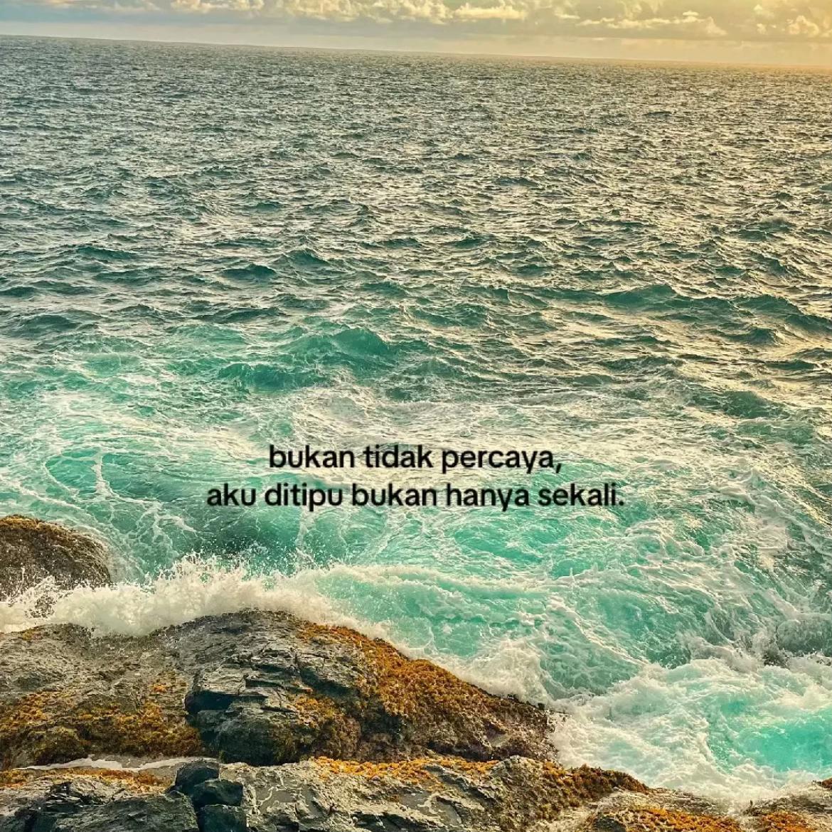 @Bella