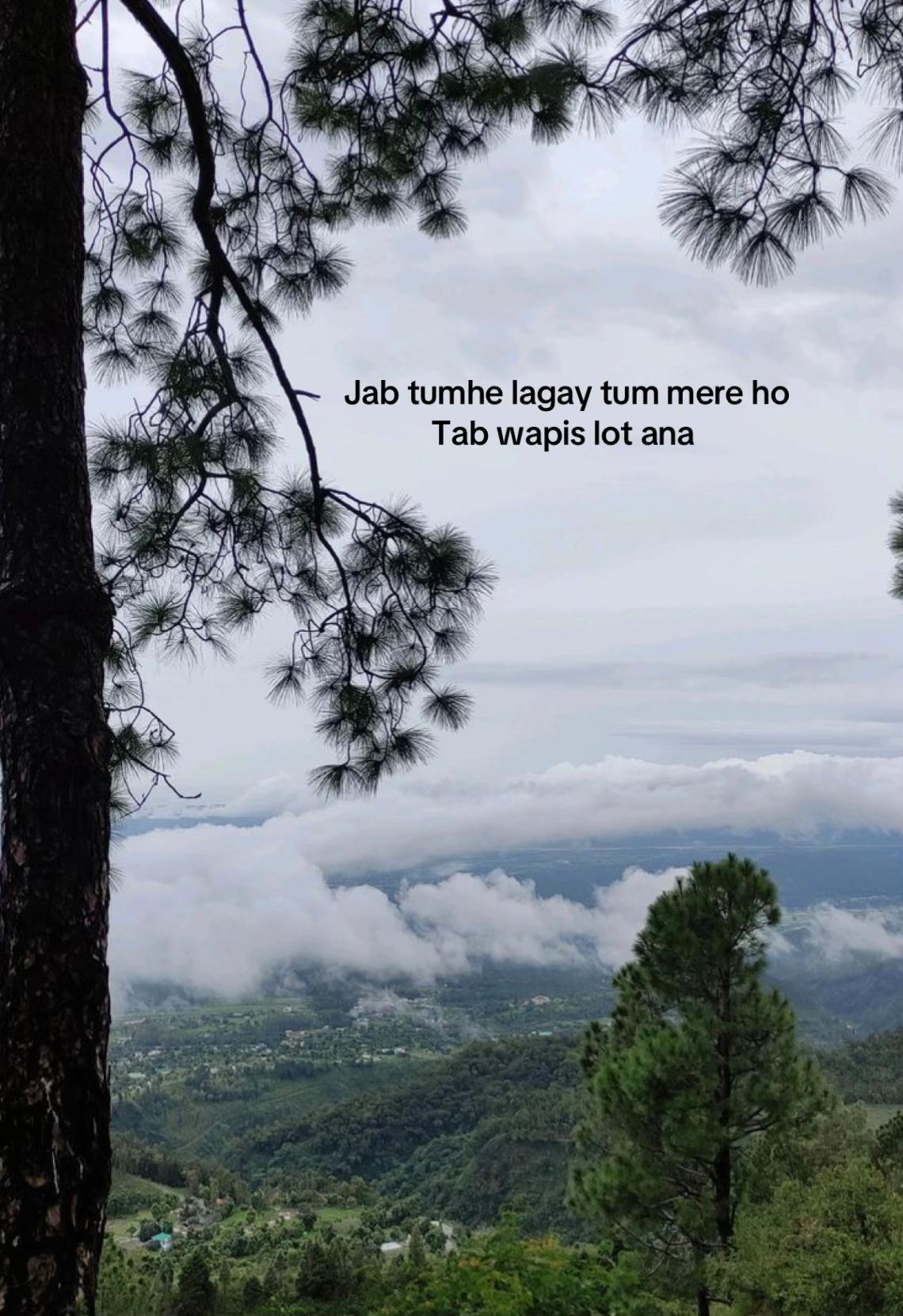 @Syeda Namra