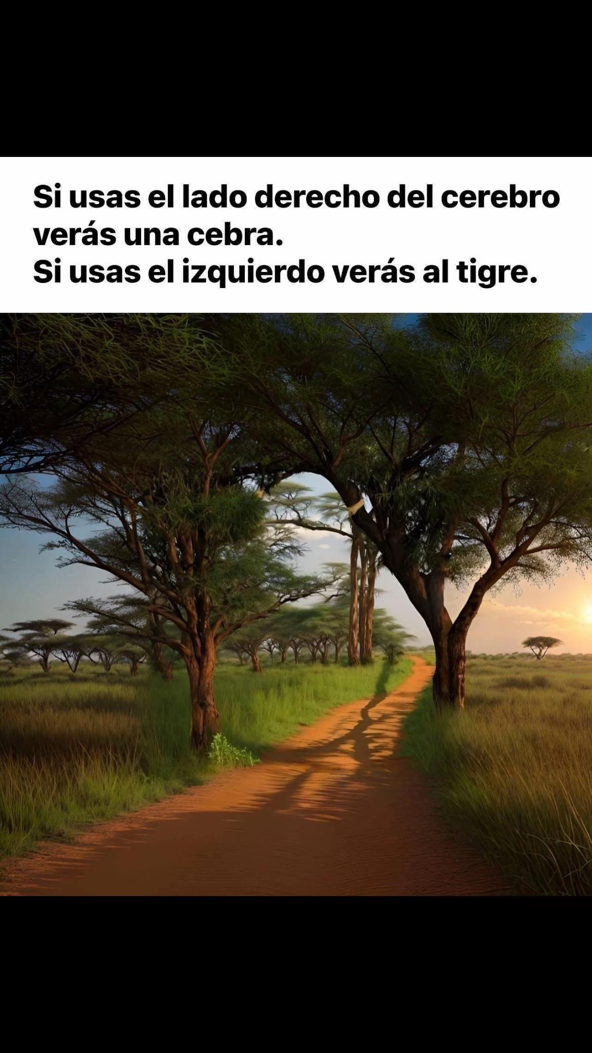 @maroci_b