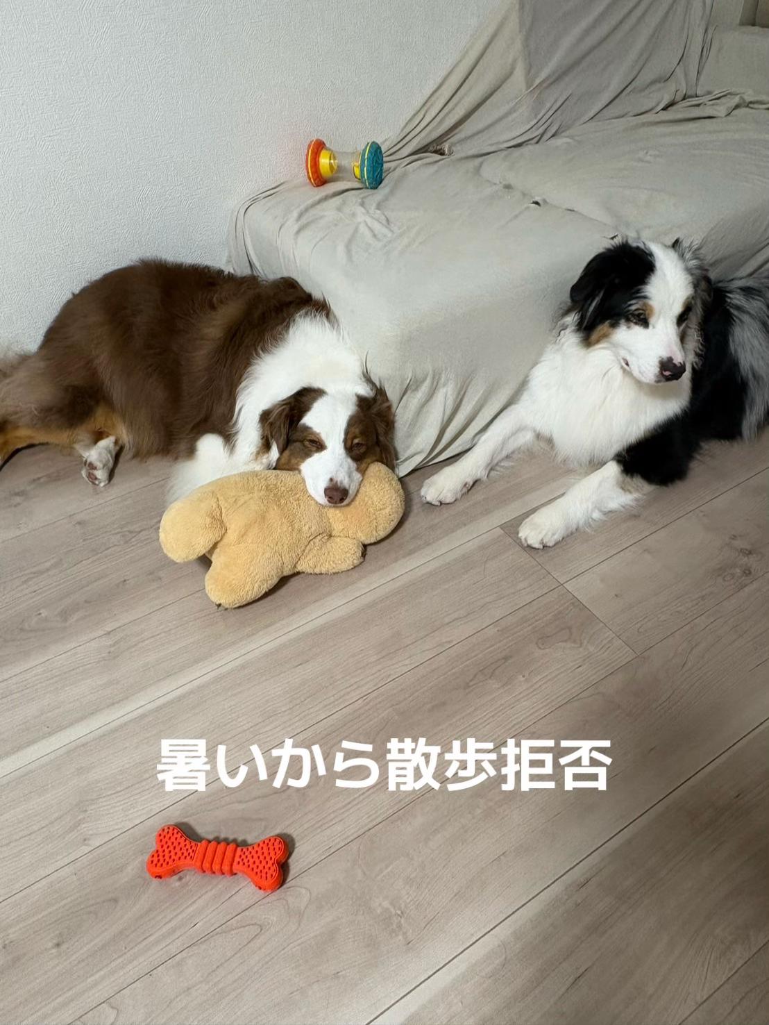 @サン&タマ