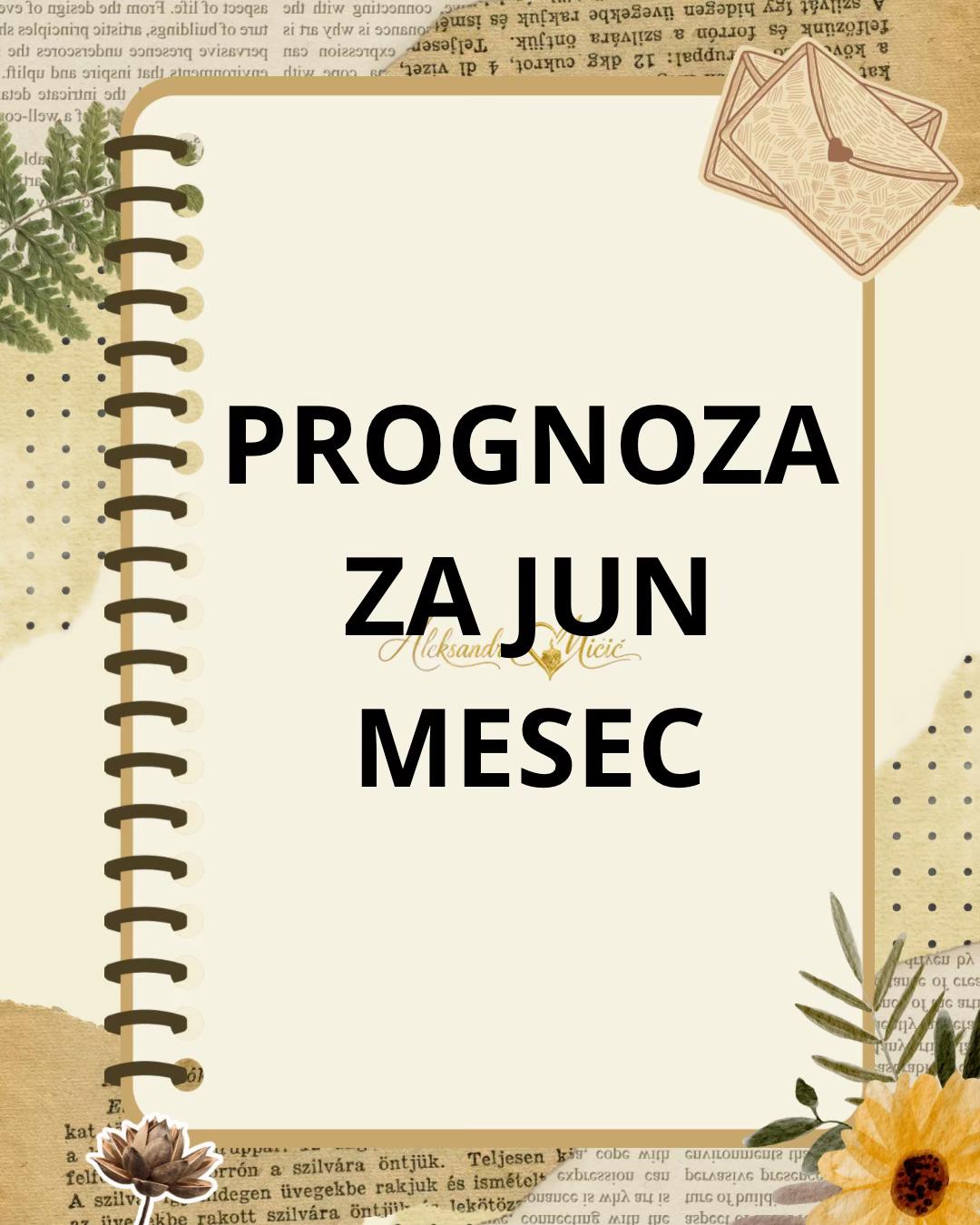 @Aleksandra Micic