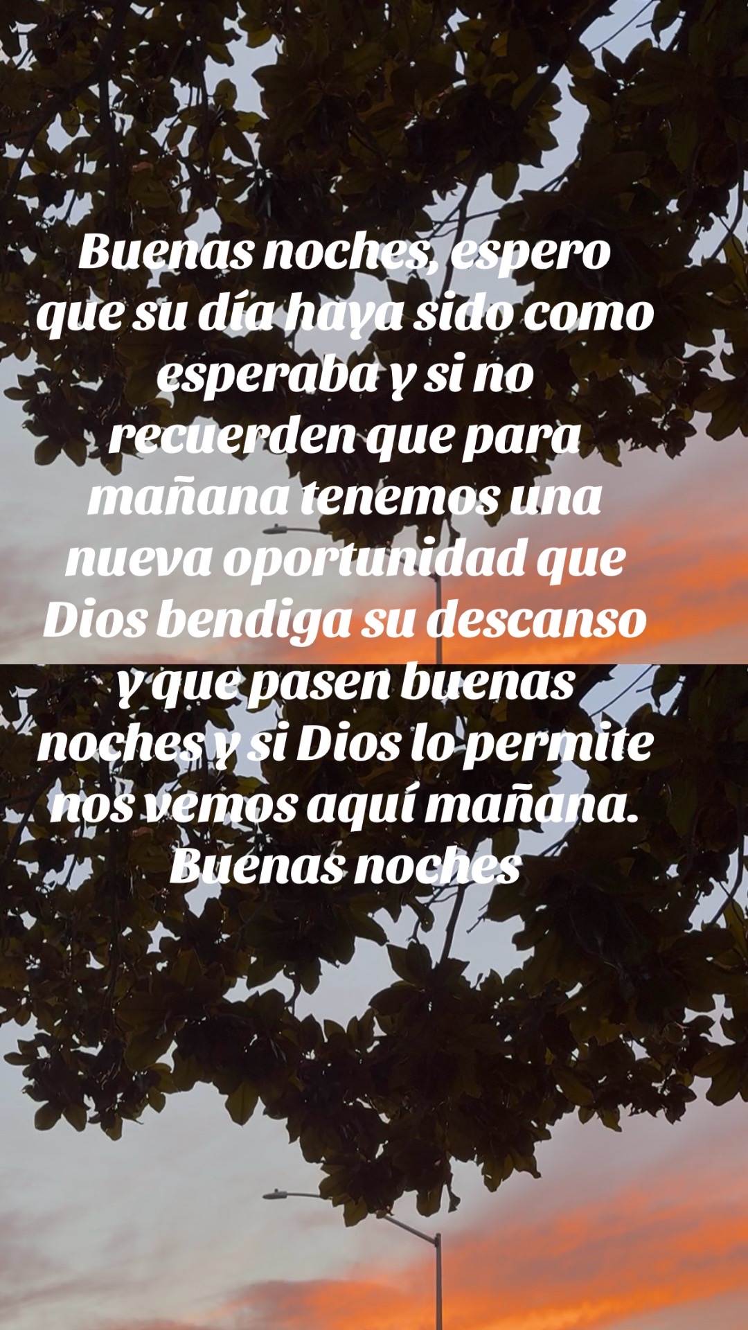 @i_bella78