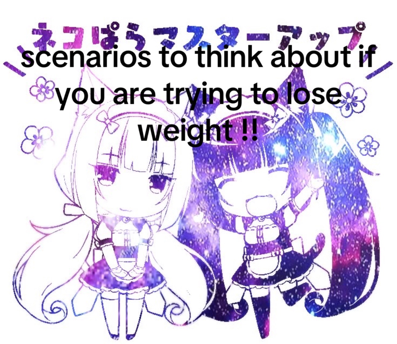 @₍^. .^₎⟆