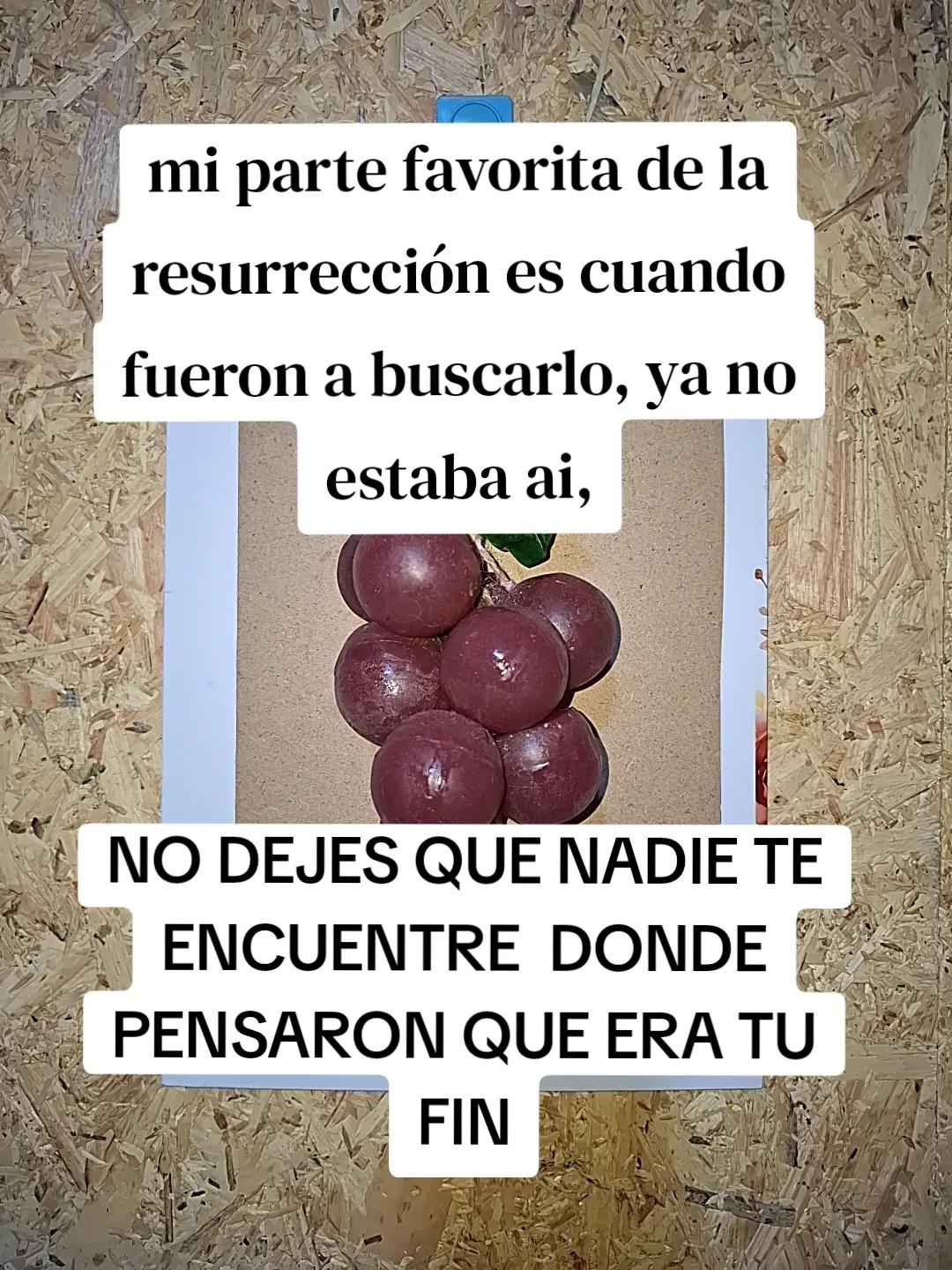 @xiomara Mesia🌟 Brillo propio