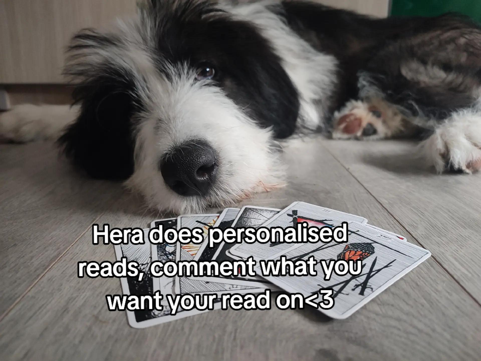 @Hera