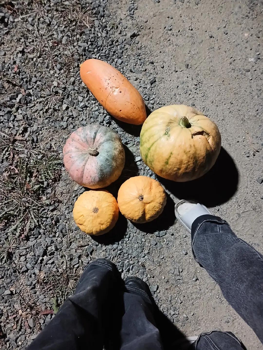 @🆘️беstoлоч🆘️