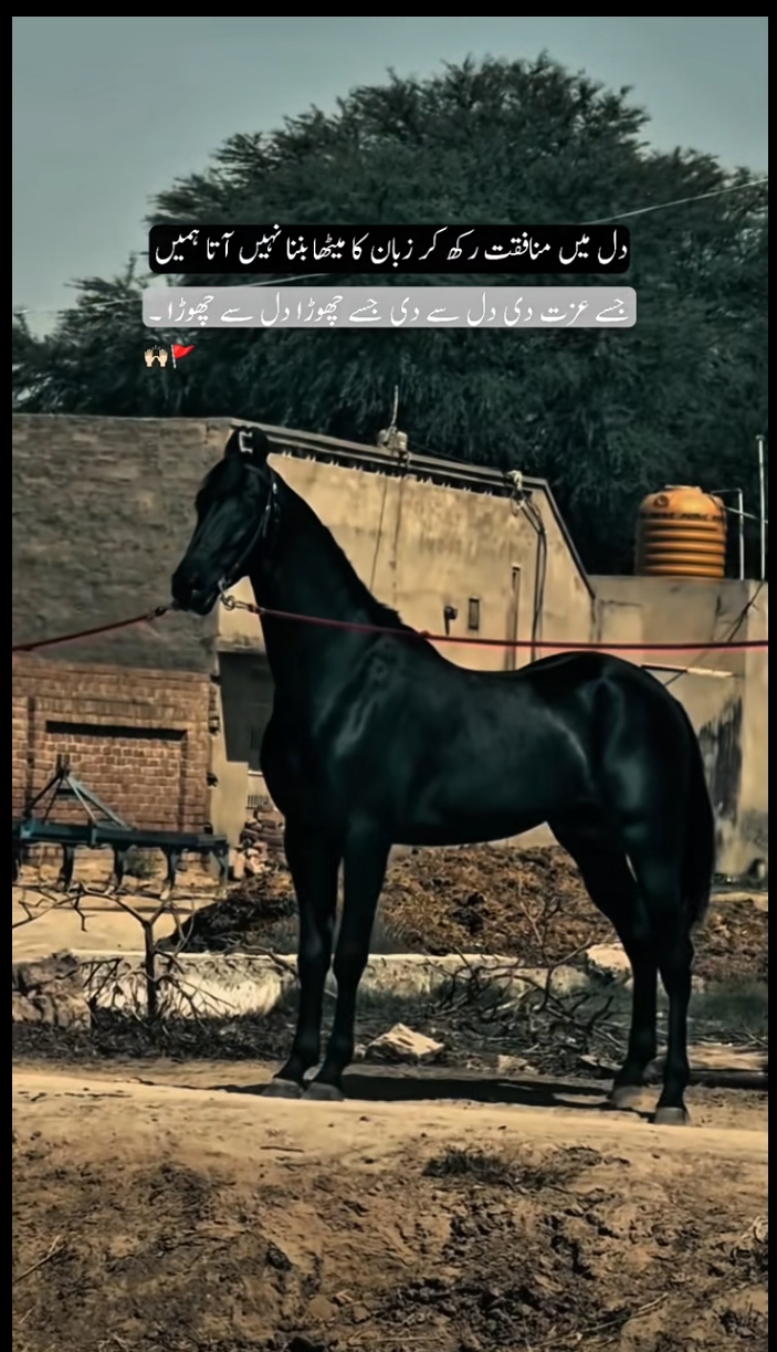 @︻╦╤─Ak47╾━╤デ╦︻