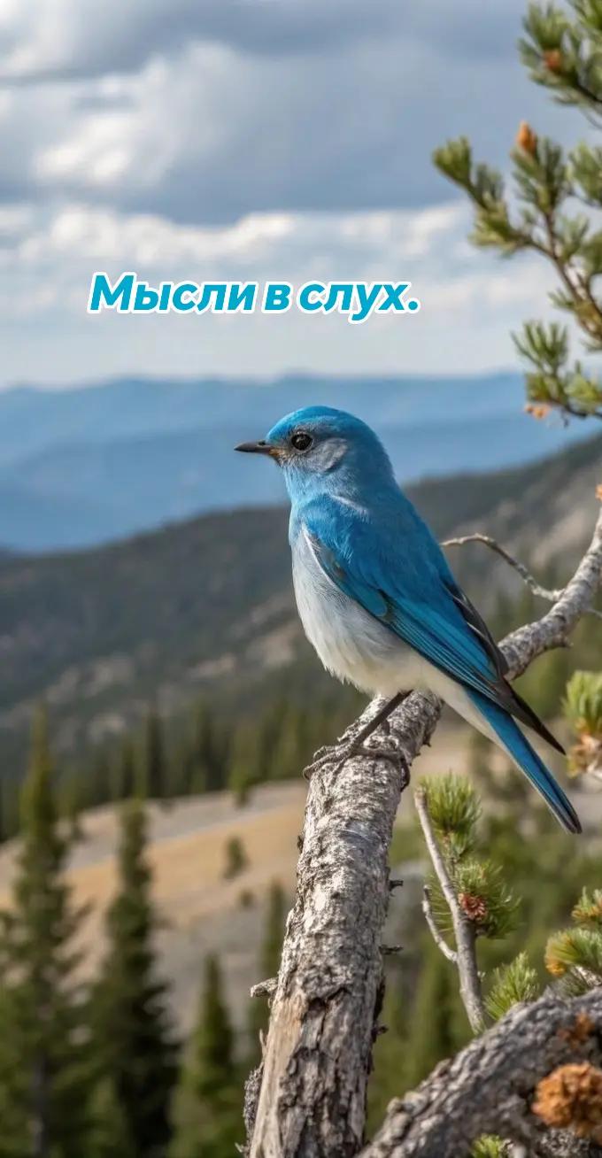 @❤️ℂ𝕒𝕖𝕝𝕖𝕤𝕥𝕚𝕤❤️
