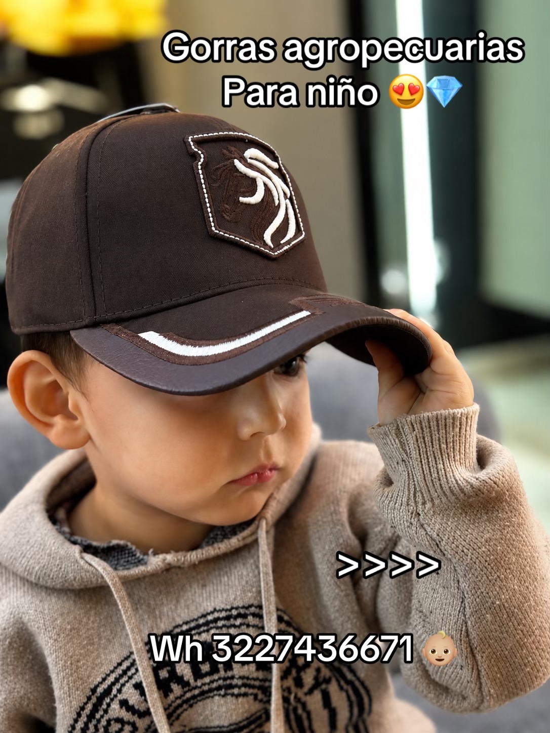 @Boyacá Equinos_JS