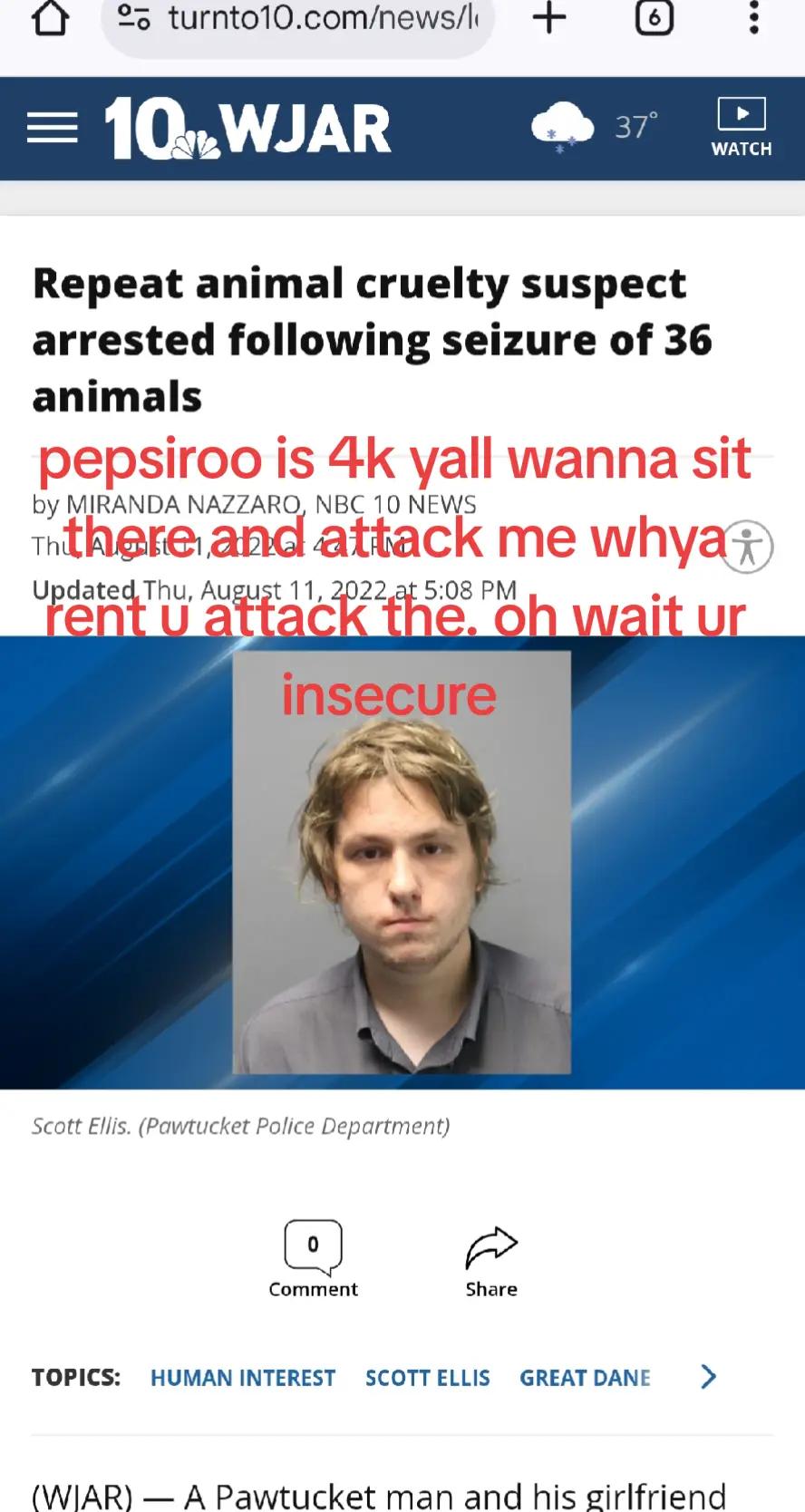 @theshinningfirefox