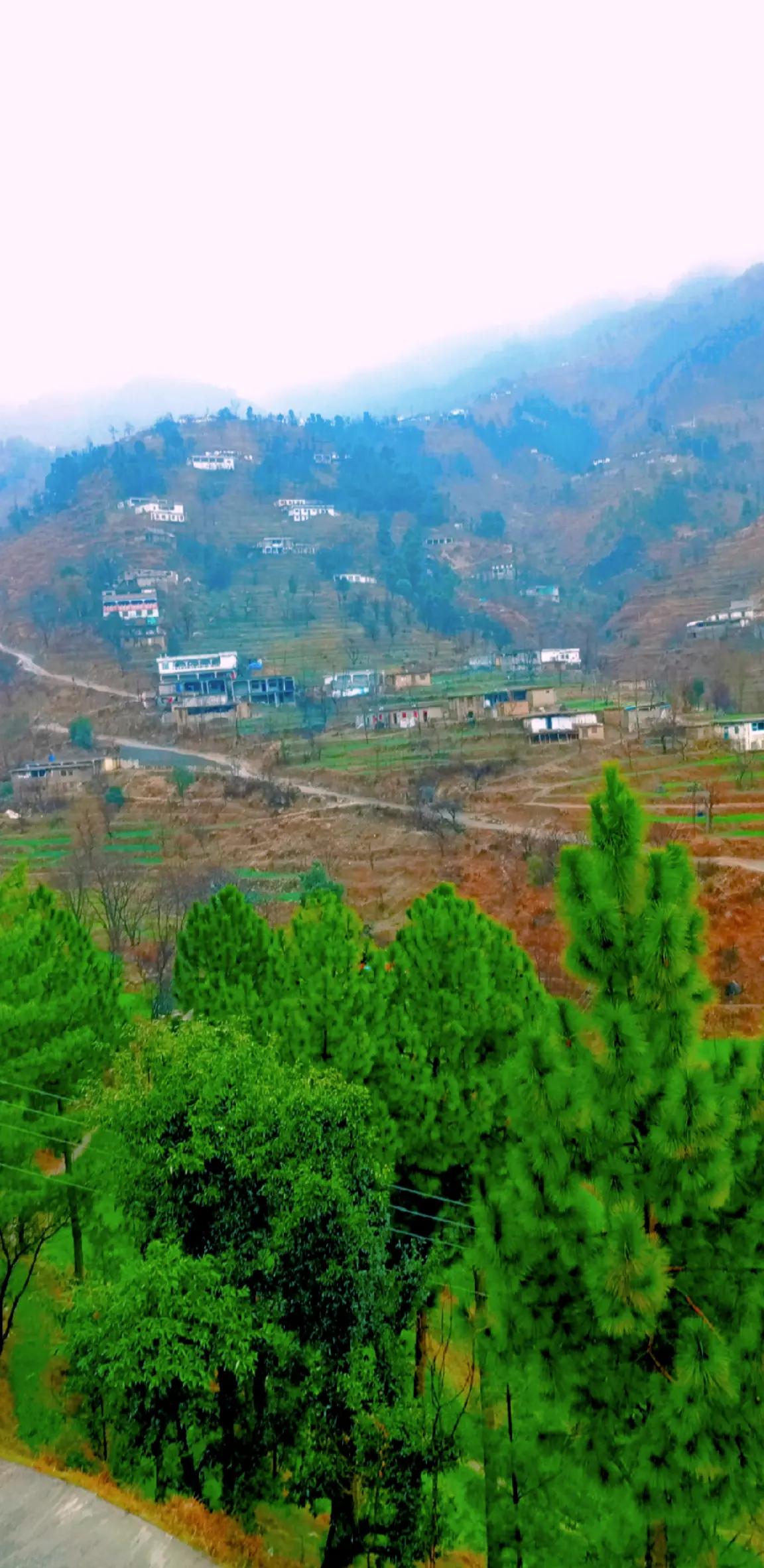 @🌲غر سنے 🌲