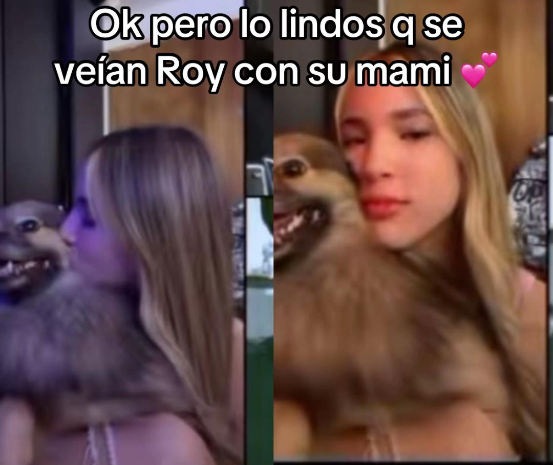 @IamDsofi