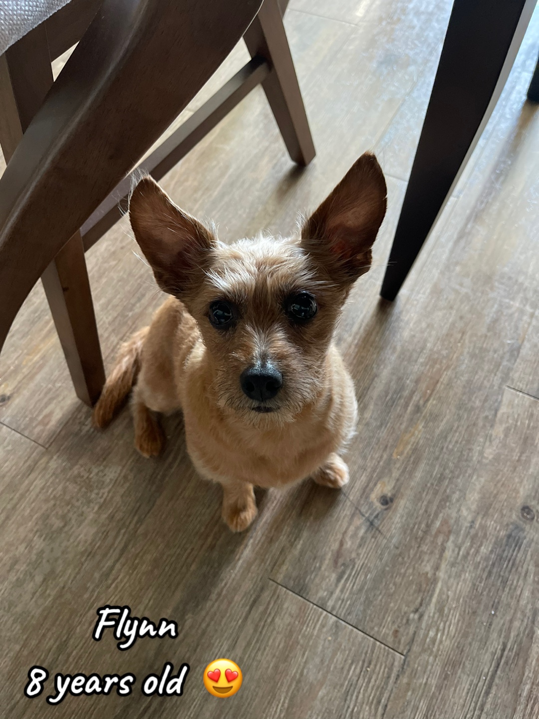 @flynn.ryder