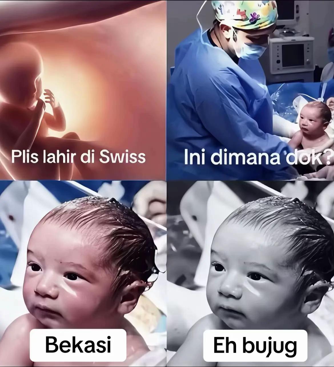 @sukakamu