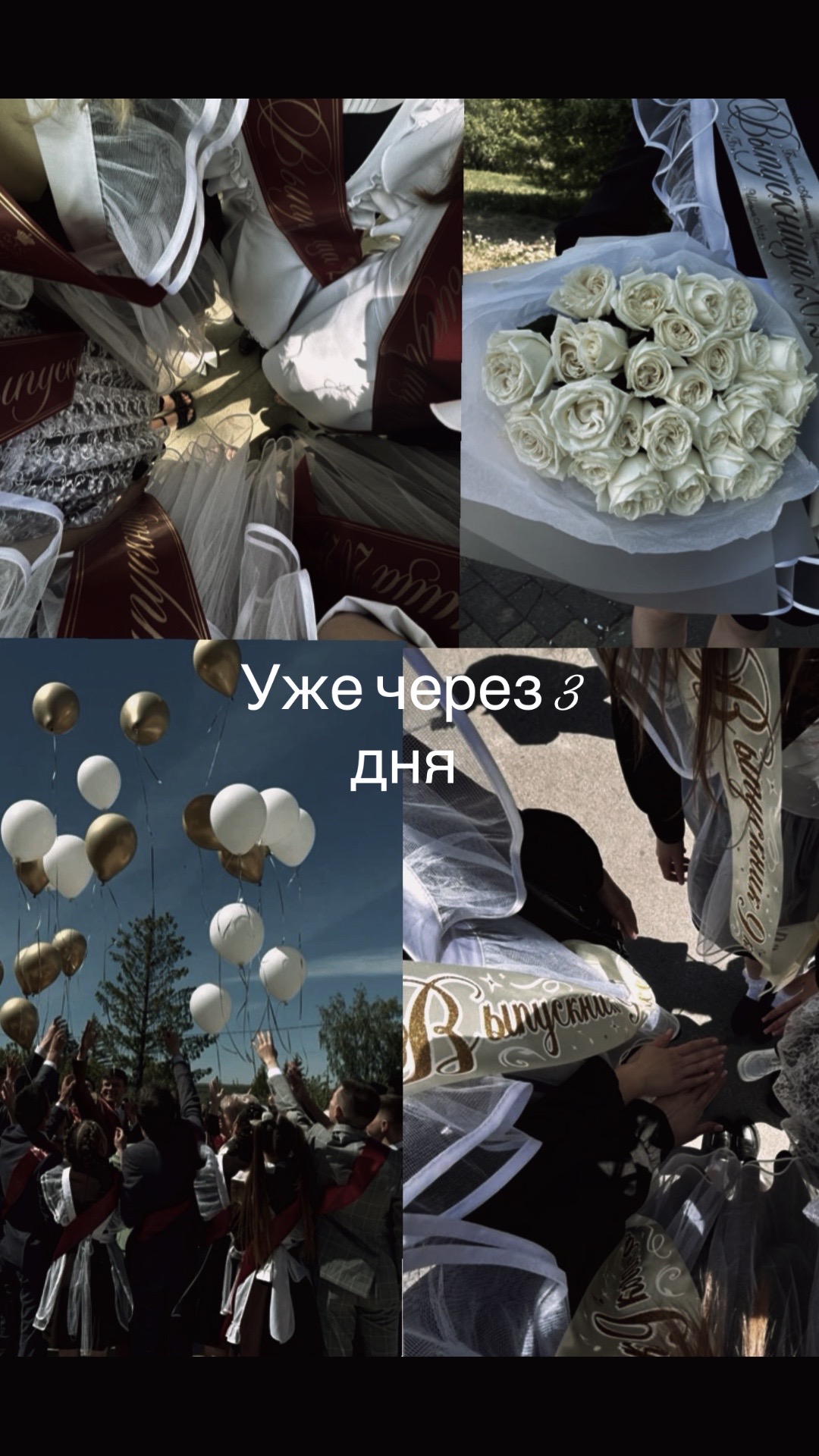 @𝒮𝒶𝓂𝒾𝓀