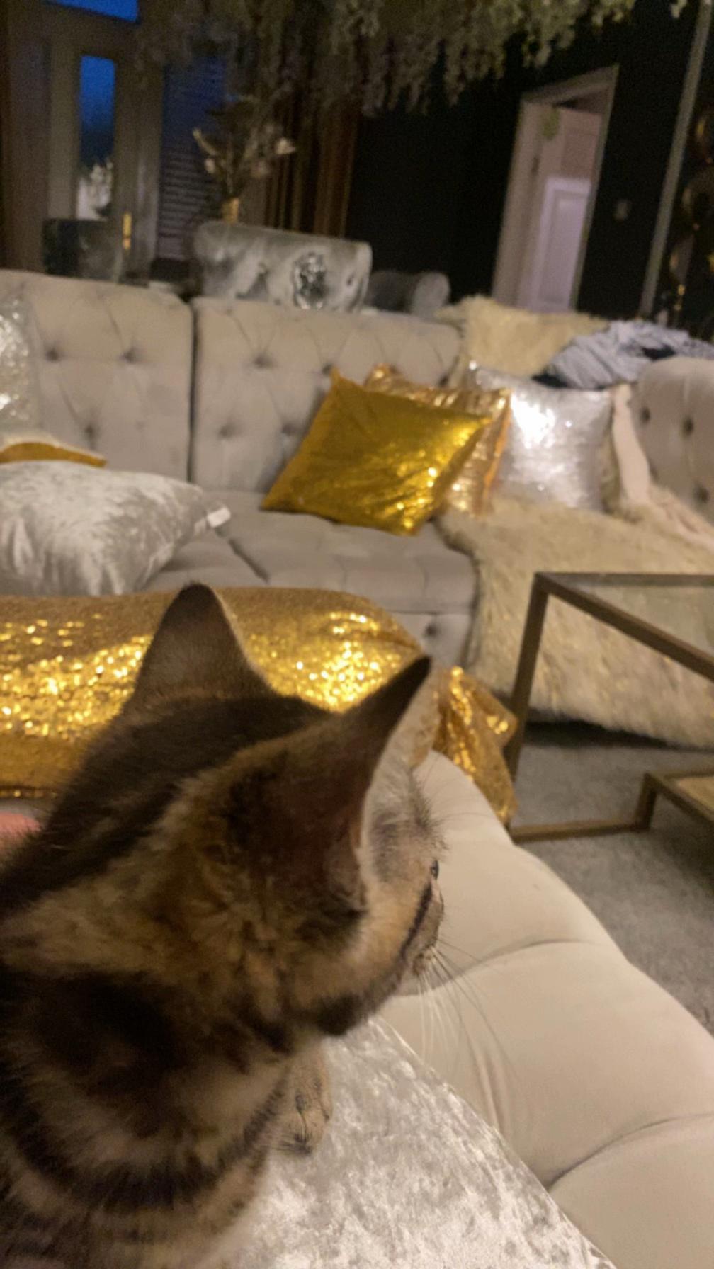@noni _nn🐆