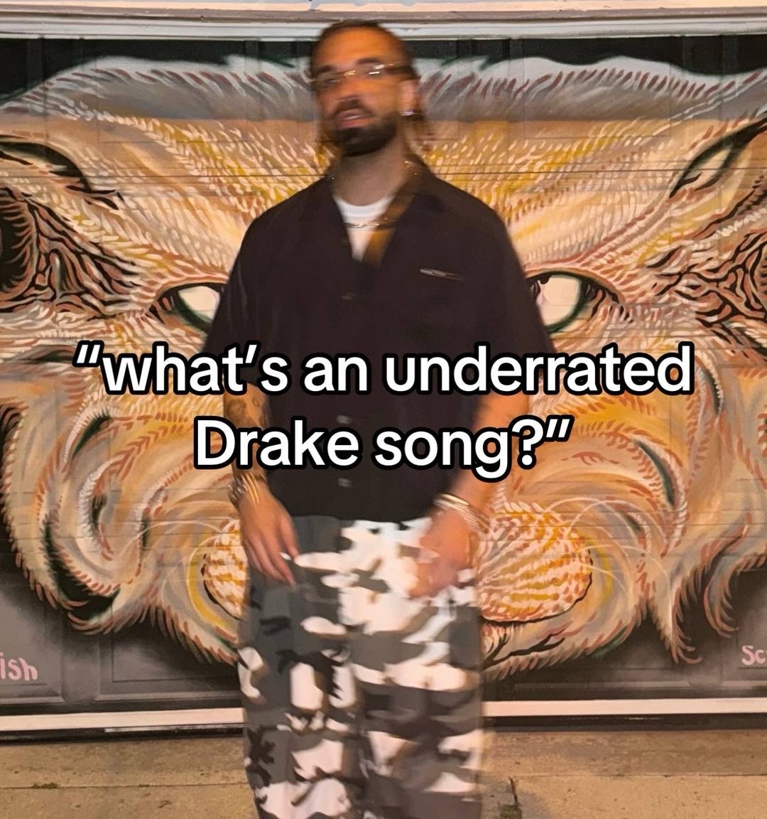 @thatdrakepage