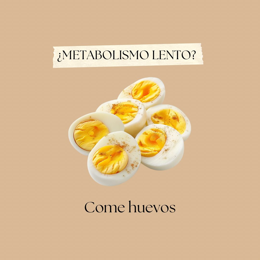 @ʀᴇᴄᴇᴛᴀ ᴋᴇᴛᴏ ᴛᴏᴛᴀʟ 🍗🥦