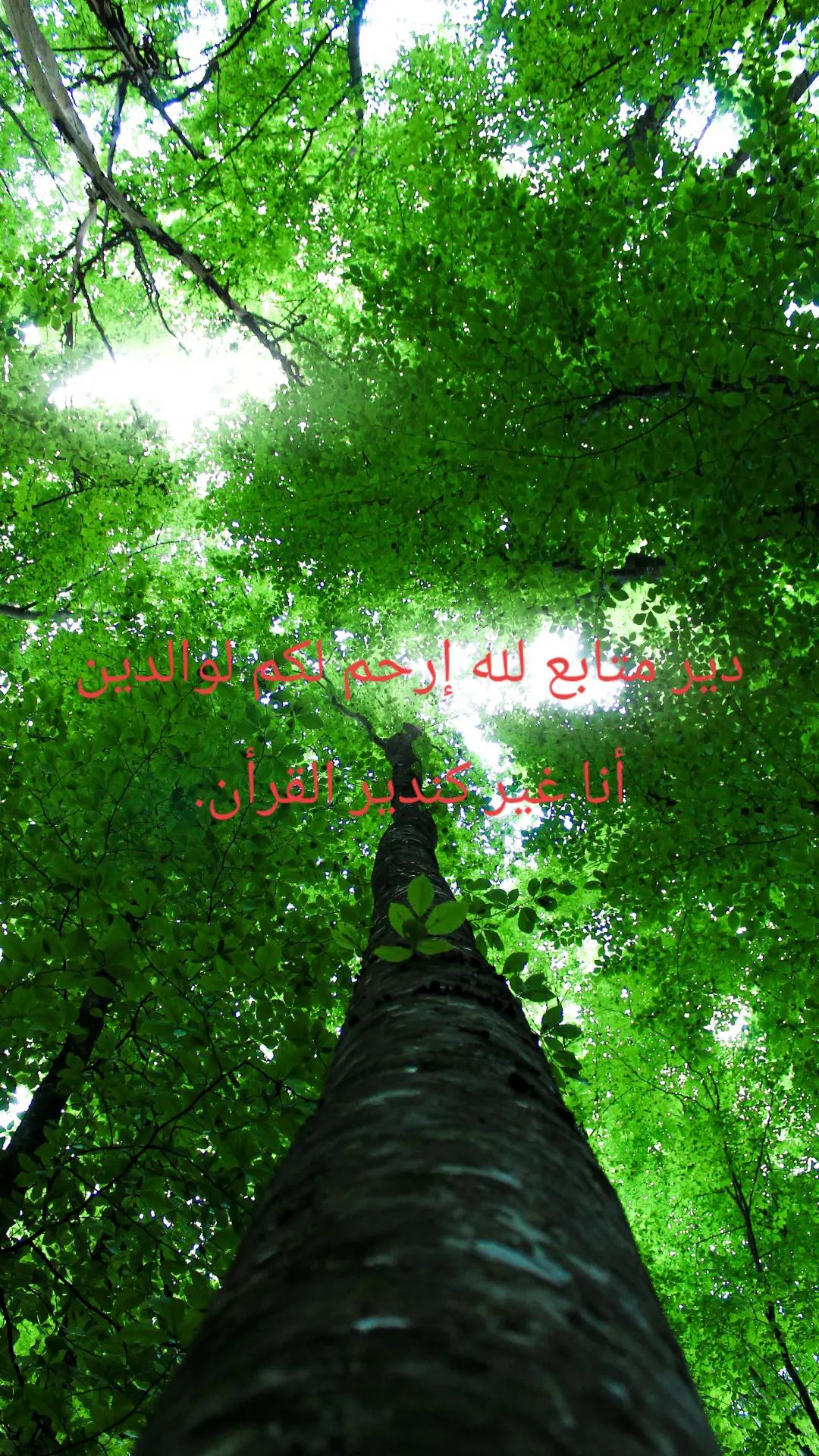 @القرآن الكريم