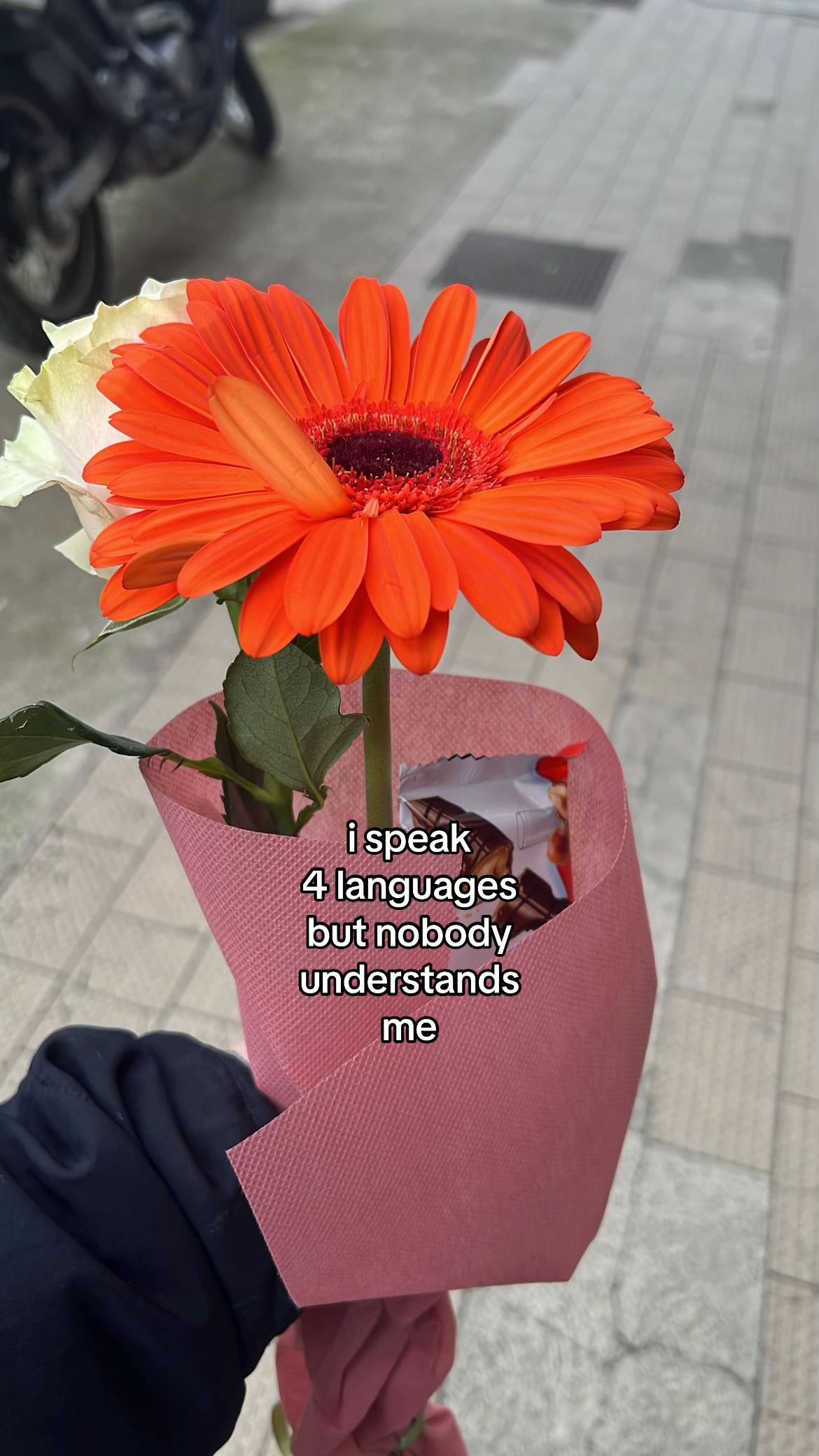 @damian