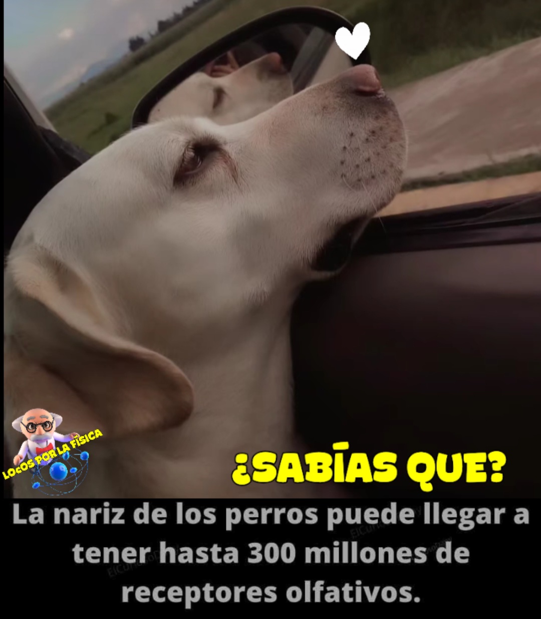@Locos por la física